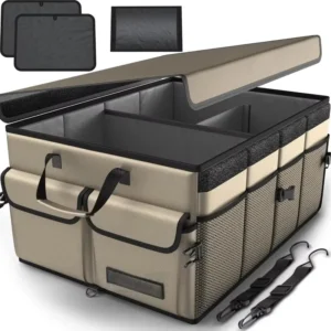 Panel Lid Trunk Storage Box, beige option