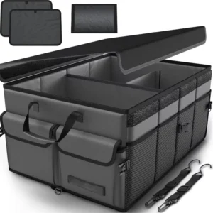Panel Lid Trunk Storage Box, grey option